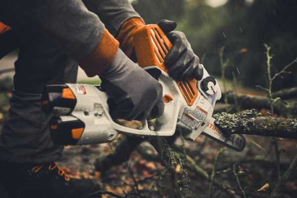 Stihl GTA 40 Battery Pruner (Skin)