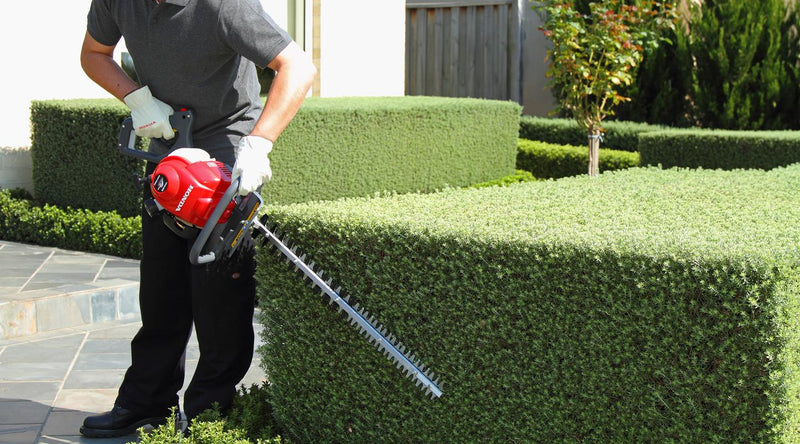 Honda HHH25 Hedge Trimmer