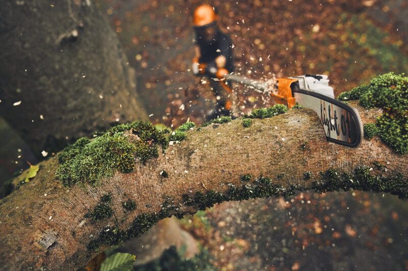 HTA 160 Battery Pole Pruner