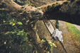 HTA 160 Battery Pole Pruner