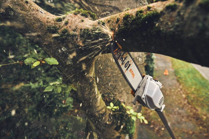 HTA 160 Battery Pole Pruner