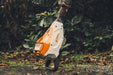 HTA 160 Battery Pole Pruner