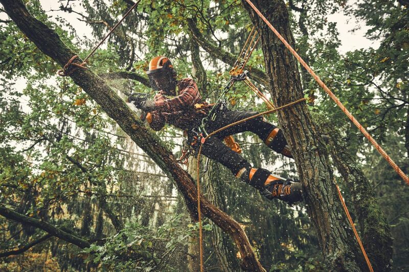 Stihl MSA 190 T Battery Chainsaw