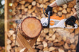 Stihl MSA 80 Battery Chainsaw Kit