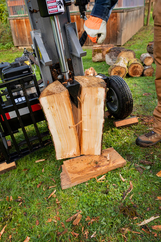 Oregon 25 Ton Hydraulic Log Splitter