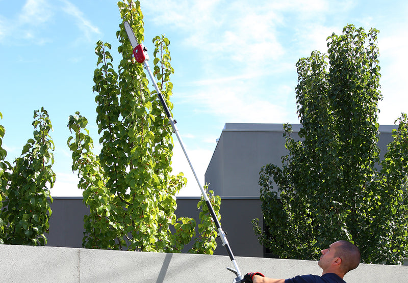 Honda Versatool Pole Pruner Attachment