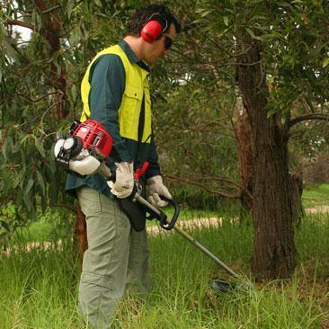 Honda Umk425 Loop Handle Brushcutter